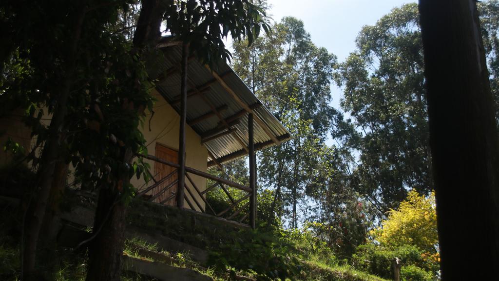 Amasiko Homestay Lake Bunyonyi Kabale Luaran gambar