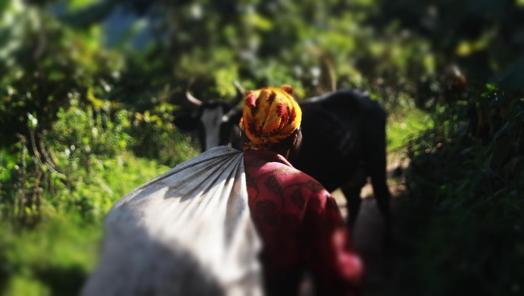 Amasiko Homestay Lake Bunyonyi Kabale Luaran gambar