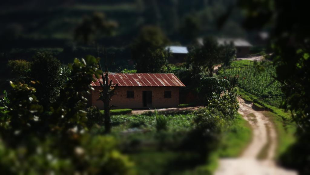 Amasiko Homestay Lake Bunyonyi Kabale Luaran gambar
